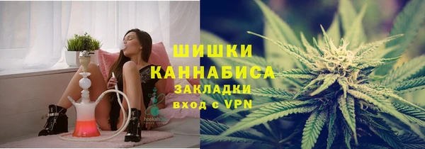 ГАЛЛЮЦИНОГЕННЫЕ ГРИБЫ Богданович