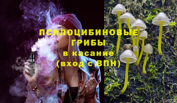 мяу мяу мука Верхний Тагил